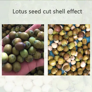Elektrilised Lotus Seemne Kestasid Masina Küljest Vänt Lootose Seemned, Lõika Koorimata Lootose Seemned Kestasid Lotus Seemnete Töötlemise Seadmed